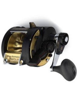 CARRETE SHIMANO TLD 2SPEED 20A