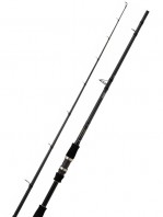DAIWA SALTIST AGS 1002 XHFS 3,00 M