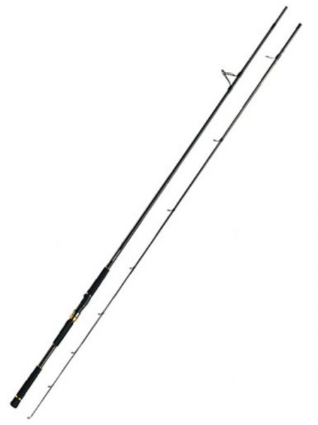 CAÑA-DAIWA-MORETHAN-AGS-107MH-