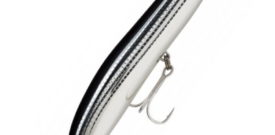 SEÑUELO RAPALA WALK ROLL 10CM