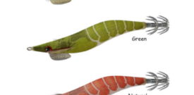 JIBIONERA DTD SHRIMP OITA 3.0